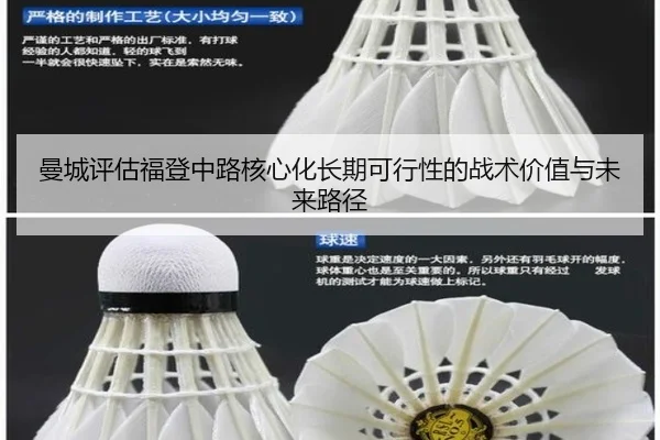man-cheng-ping-gu-fu-deng-zhong-lu-he-xin-hua-chang-qi-ke-xing-xing-de-zhan-shu-jia-zhi-yu-wei-lai-lu-jing-2-133.jpg