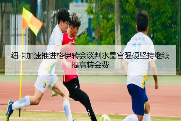 纽卡加速推进格伊转会谈判水晶宫强硬坚持继续提高转会费